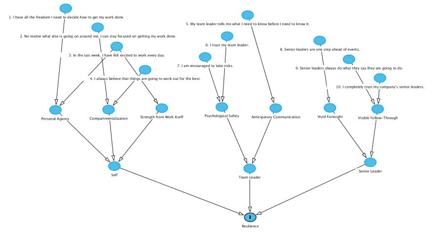 Resilience model expanded